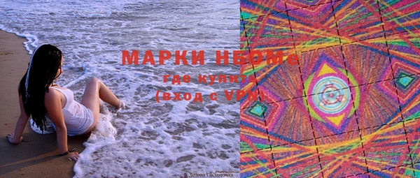 прущие грибы Алзамай