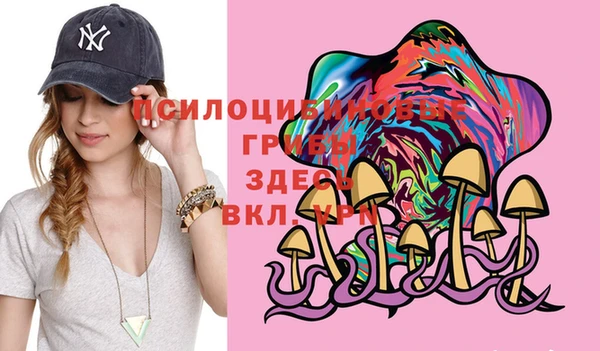 прущие грибы Алзамай