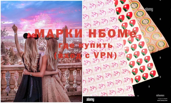 прущие грибы Алзамай