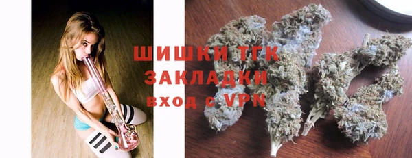 прущие грибы Алзамай