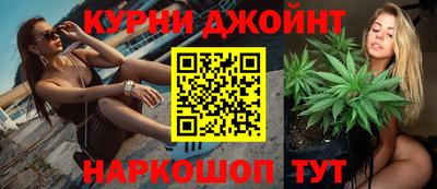 jwh Кингисепп
