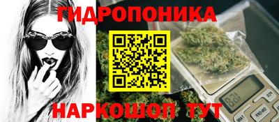 стаф Кимры