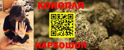 jwh Кингисепп