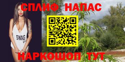 стаф Кимры