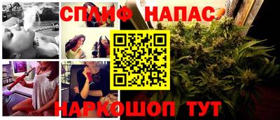 jwh Кингисепп
