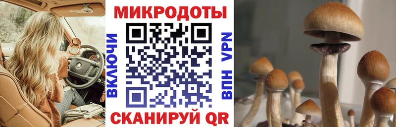 Галлюциногенные грибы мицелий где купить Клин